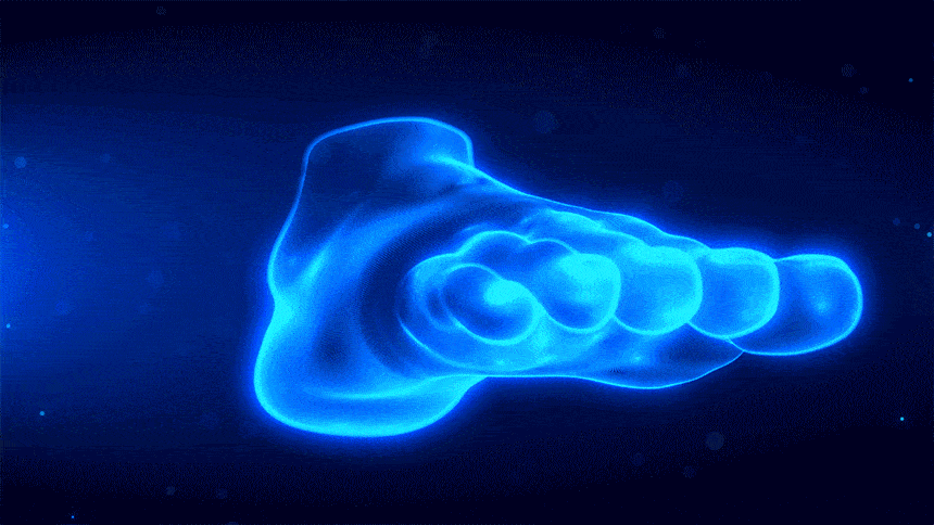 1731898264870_16_03.gif