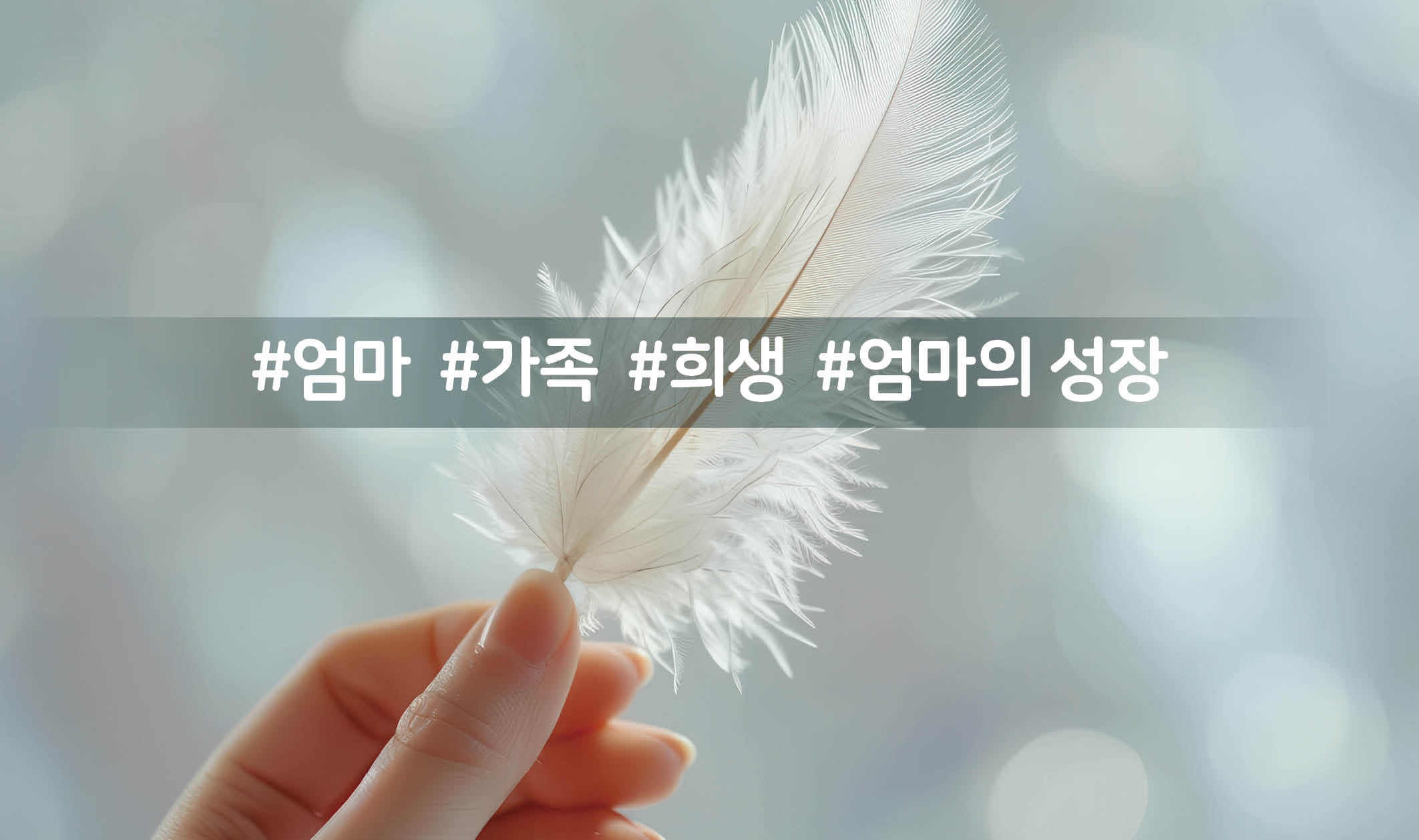 [2025년 12월]창문을 열고 세상 밖으로