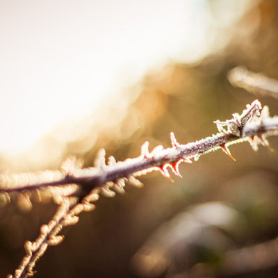 [참 좋은 당신] 11.멀리 가려거든 함께 가라