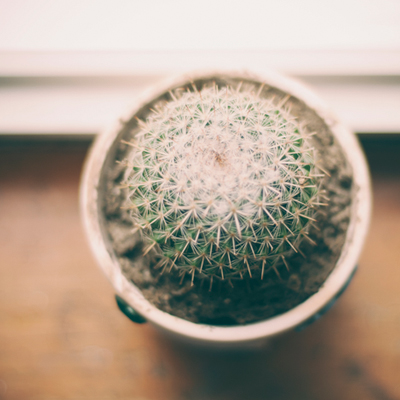 [참 좋은 당신] 12.99세! 이제 시작이야