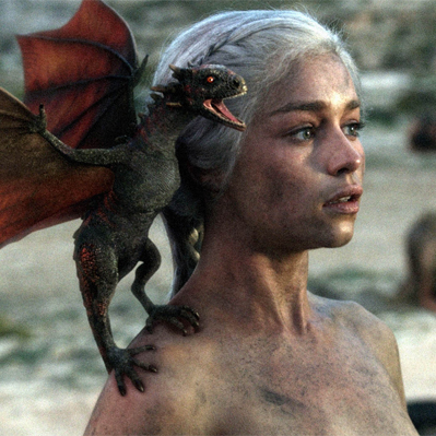 [책이 사는 이상한 나라. 8] 장르문학과 순문학의 모호한 경계