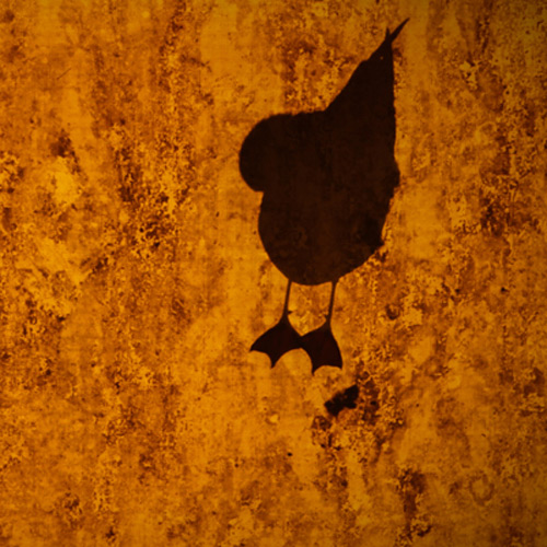 [여행자의 말] 6화. 이름이 뭐예요?