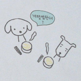 도시샌님의 제주 생활 적응기