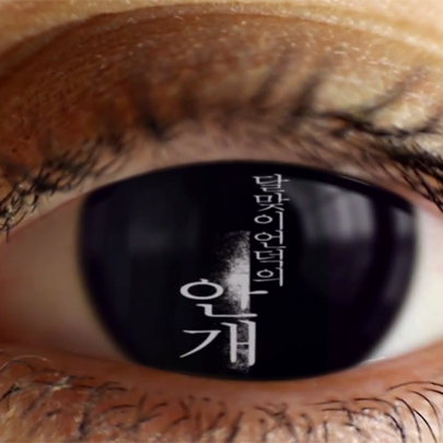 달맞이언덕의 안개