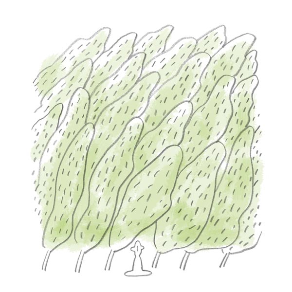 [달라이 라마의 행복] 행복을 향한 첫 단계