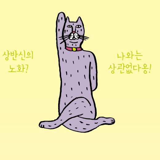 [냥이 안방 요가]#3. 소 머리 자세