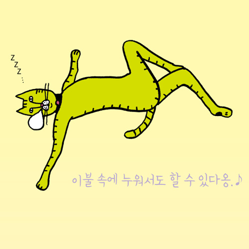 [냥이 안방 요가]#7. 악어자세