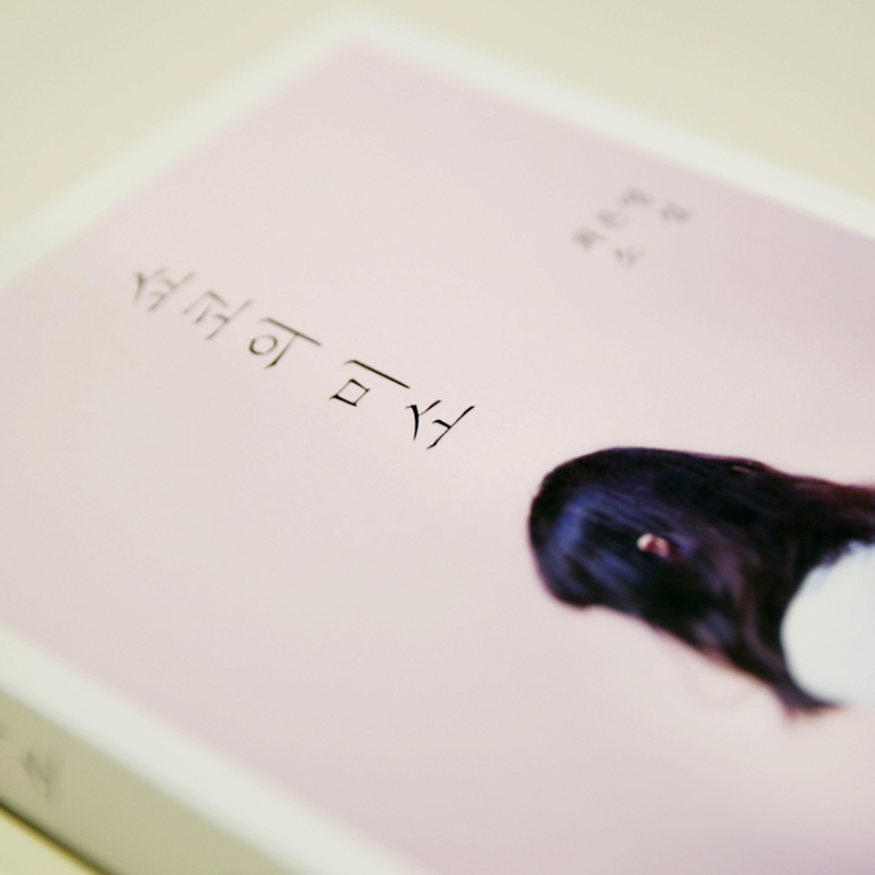 [백영옥의 낭독] 따뜻한 차 한잔을 마신 것 같은 훈훈함 『쇼코의 미소』