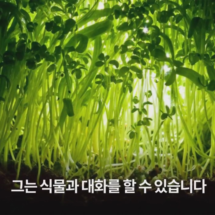 책읽찌라, 식물과 대화를 할 수 있는 남자? 『보복대행전문주식회사』