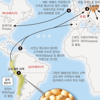 [세계사 명장면] 감자, 유럽에서 빠르게 확산되다