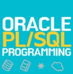 당신의 생산성을 극대화시켜주는 PL/SQL