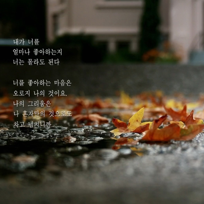 초코붕어빵, 꽃을 보듯 너를 본다