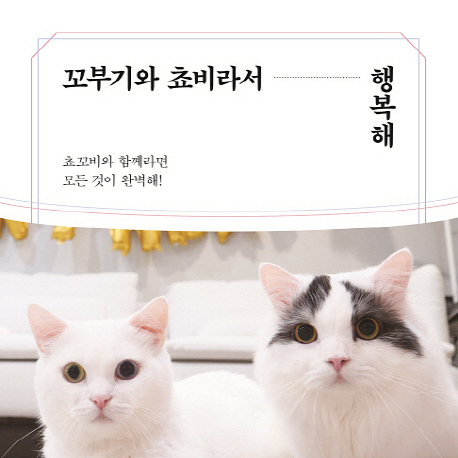 [지금 뜨는 책 3] 수백만 유튜버가 심쿵한 두 냥이