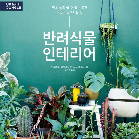 미세먼지 비상! 집안에서라도 싱그럽고 싶어요