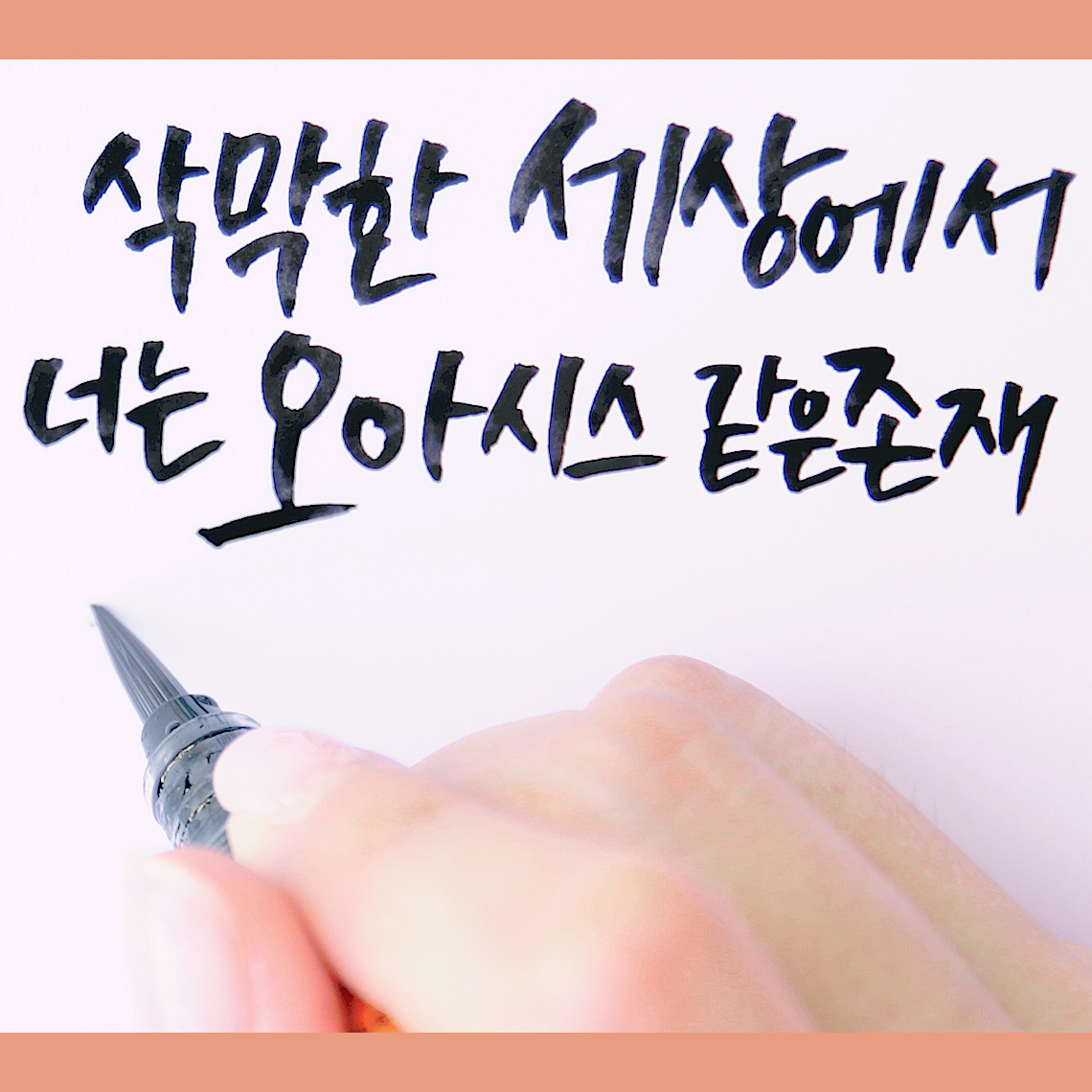 [오늘의 북캘리] 『라이언, 내 곁에 있어줘』