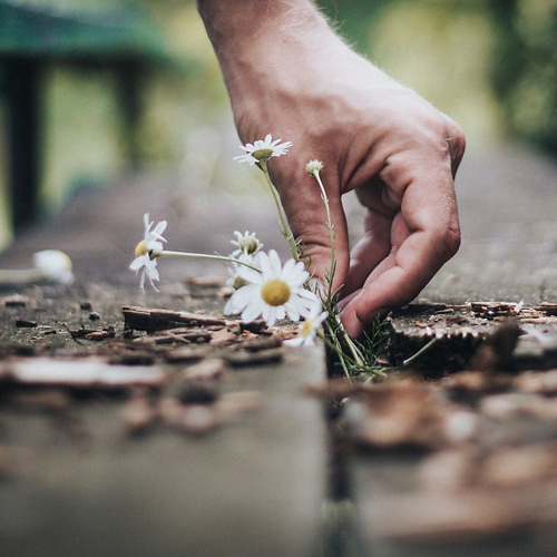 3. 어머니의 등이 저토록 작았던가
