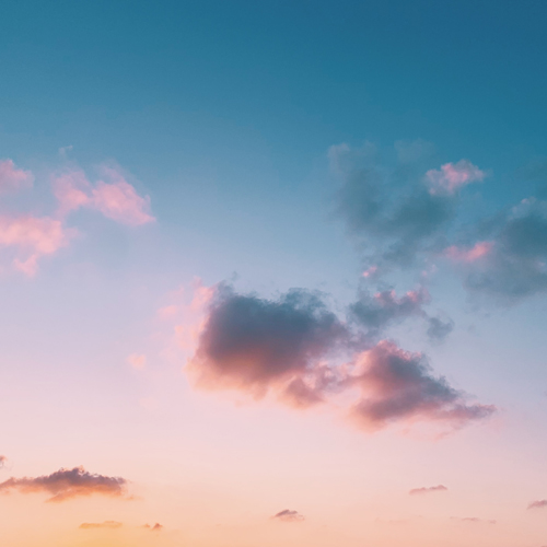 9화. 진범과 고로마루 점장의 의도