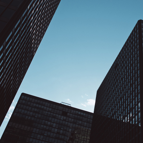 2화. 친구의 동생이 블랙기업에 취업한 것 같다