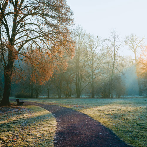 [레이첼의 죽음으로부터] 8. 남자의 찢겨진 외투 소맷단
