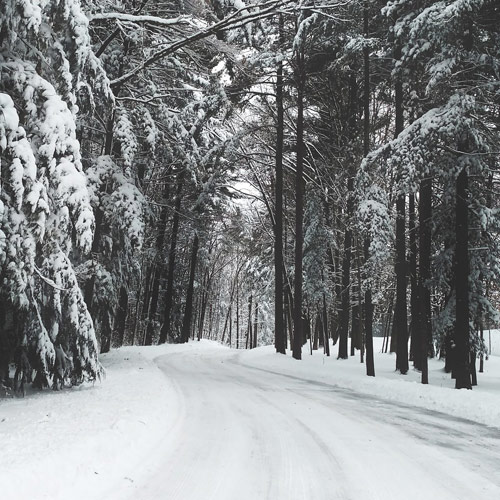 [살인의 쌍곡선] 5. 눈도 이렇게 많으면 무서운 것이다