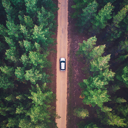 [레이첼의 죽음으로부터] 4. 레이첼은 신문기자들의 먹잇감이 될 겁니다