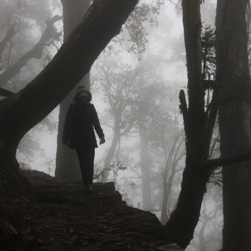 [레이첼의 죽음으로부터] 5. 테넌츠라이트에일과 던힐, 그리고 발자국