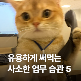 죽을 만큼 노력하긴 싫지만 일잘러는 되고 싶다면