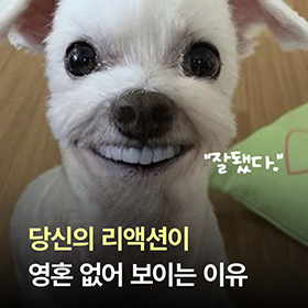 "내 리액션이 영혼이 없다고?"