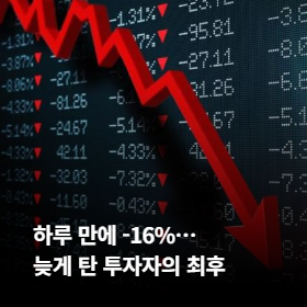 하루 만에 -16%... 늦게 탄 투자자의 최후