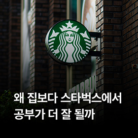 왜 집보다 스타벅스에서 공부가 더 잘될까 