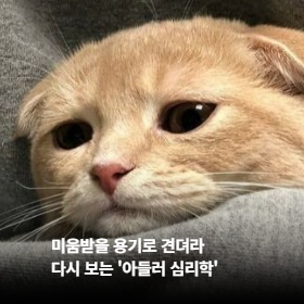 미움받을 용기로 견뎌라. 다시 보는 '아들러 심리학'