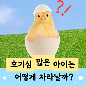 호기심이 많은 아이는 어떻게 자랄까? 
