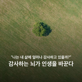 "나는 내 삶에 얼마나 감사하고 있을끼?" 감사하는 뇌가 인생을 바꾼다