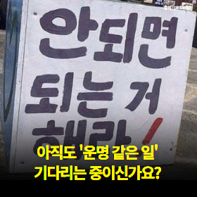 운명은 느낌이 아니라 반복에서 생깁니다.