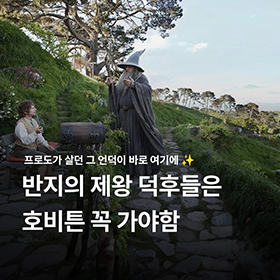 반지의 제왕 덕후들은 호비튼 꼭 가야함  
