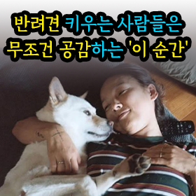 반려견 키우는 사람들은 무조건 공감하는 '이 순간'