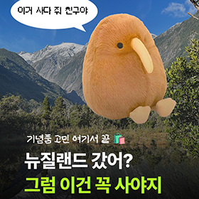 뉴질랜드를 가면 꼭 사야 할 쇼핑 리스트