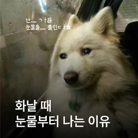 화날 때 눈물부터 나는 사람 여기 보세요