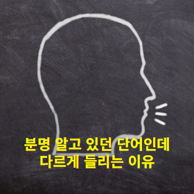 "맨해튼"이라고 배웠는데 실제 발음은 "맨해응"!