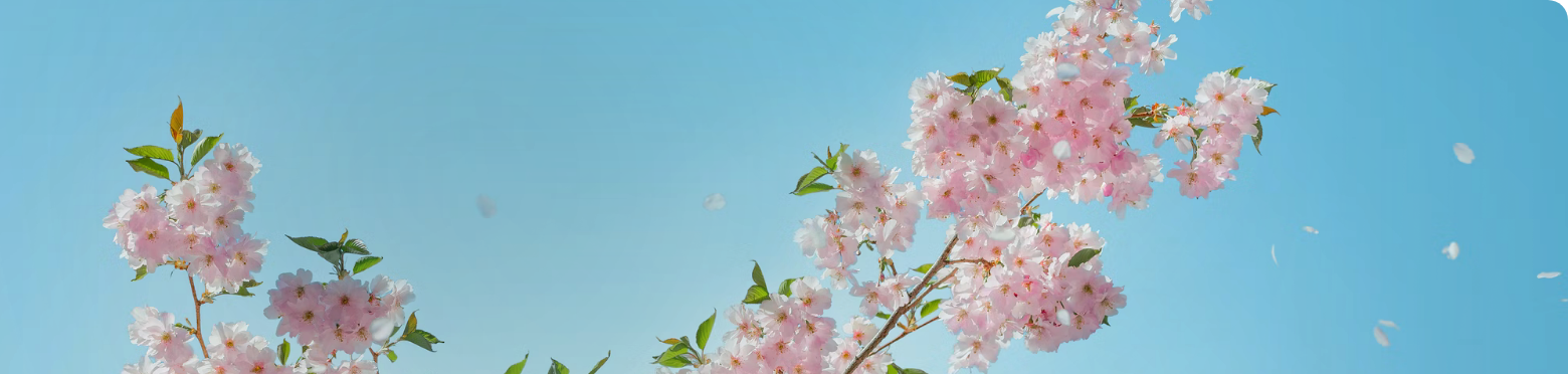 시리즈 대표 이미지