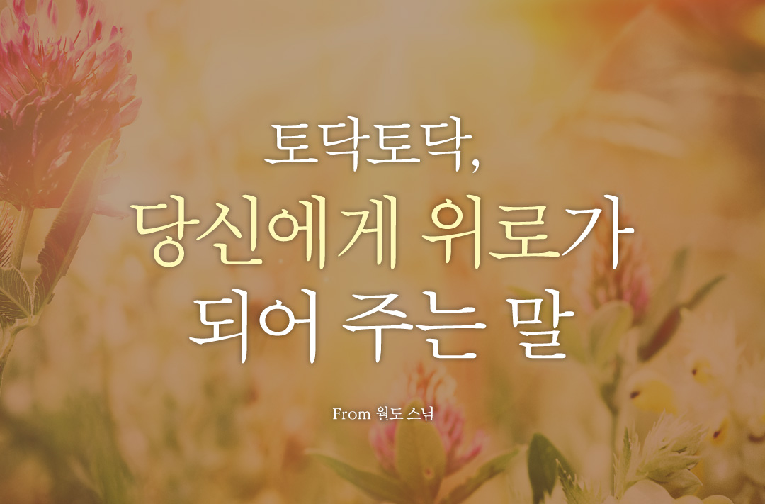토닥토닥, 당신에게 위로가 될 스님의 말