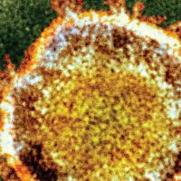 101가지 바이러스 포스터 증정