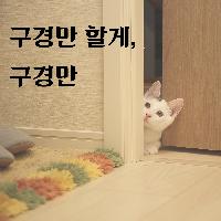 너는 추천도서 읽어라 나는 그냥 구경이나 하겠다