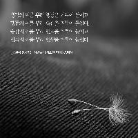 [책속한줄] 우리의 삶은 습관이 모여 이루어진다.