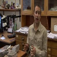 공룡은 너무나 운이 없었습니다