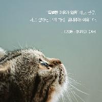 [책속한줄] 하고 싶다면 그게 가장 '끝내주는 이유'다