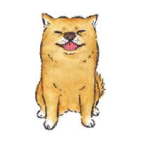 세상을 사랑하게 만들어 준 반려견 이야기