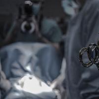 05. 해부학은 시신 기증자가 있어 존재한다