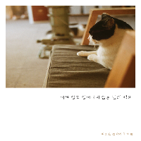 아무 일도 일어나지 않은 '오늘'의 풍경을 이야기하다