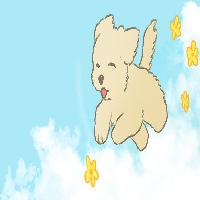 "미안, 아무 걱정 마" 나의 반려견에게